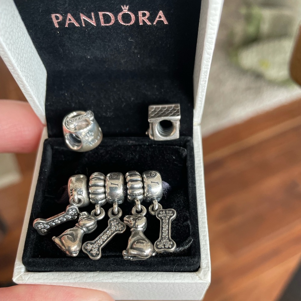 Authentic Pandora Charms